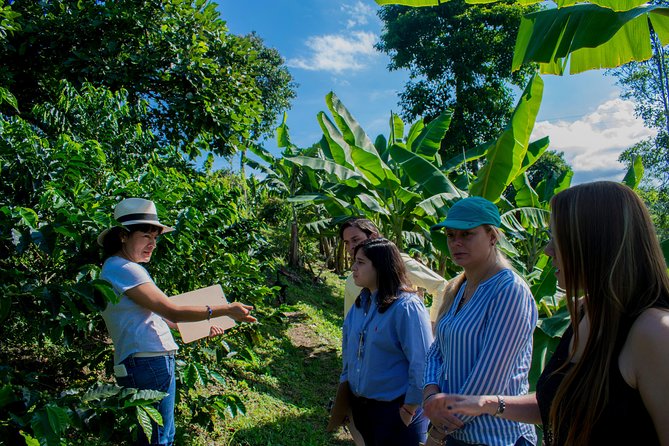 Coffee Tour. - Key points at a glance