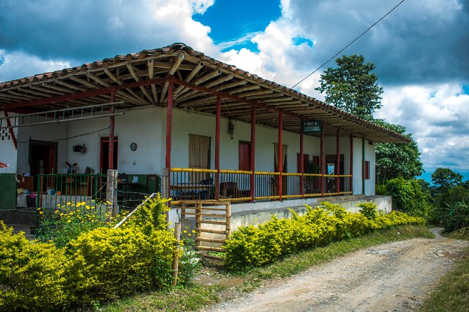 Coffee Tour. - Who will enjoy this coffee tour most