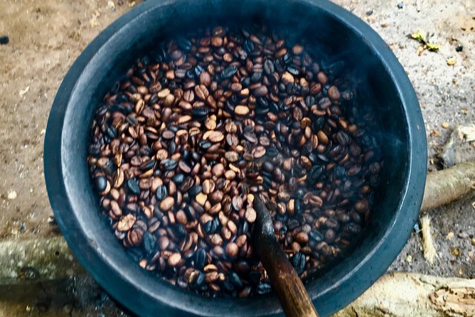 Coffee tour and Buffet Lunch with Kingstone Asilia (Arusha) - Starting at the Kingstone Asilia farm outside Arusha