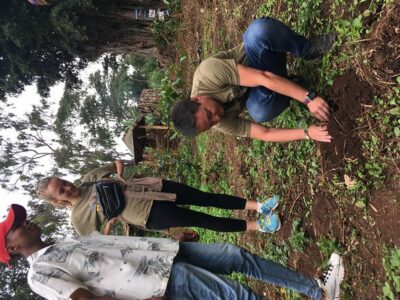 Coffee tour and Buffet Lunch with Kingstone Asilia (Arusha)