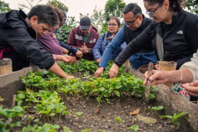 Coffee Tour at Finca El Ocaso Salento: Traditional Spanish Farm