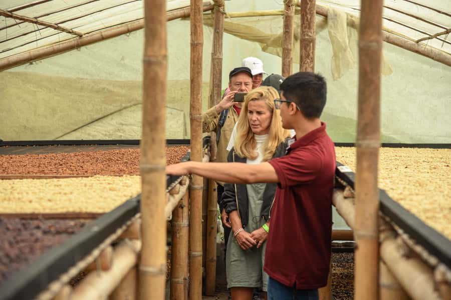 Coffee Tour at Finca El Ocaso Salento: Traditional Spanish Farm - Roasting shows why the final cup changes
