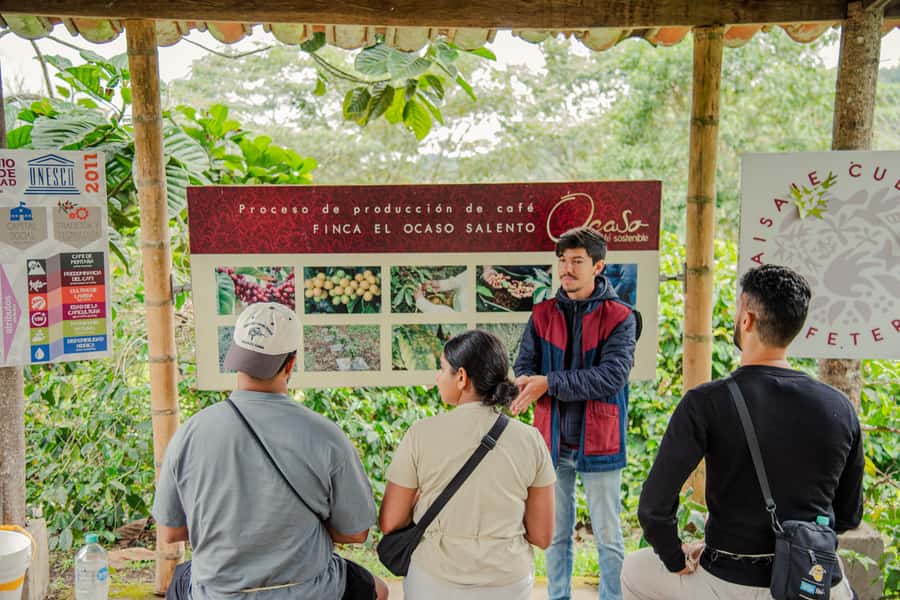 Coffee Tour at Finca El Ocaso Salento: Traditional Spanish Farm - The cloth strainer is the right finish