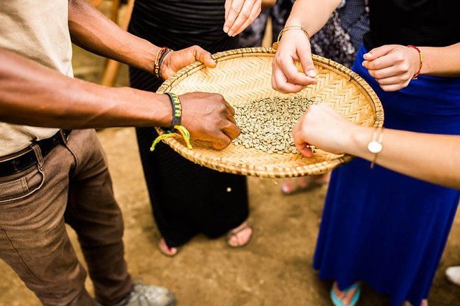 Coffee Tour Experience from Arusha - Key things to know before you book