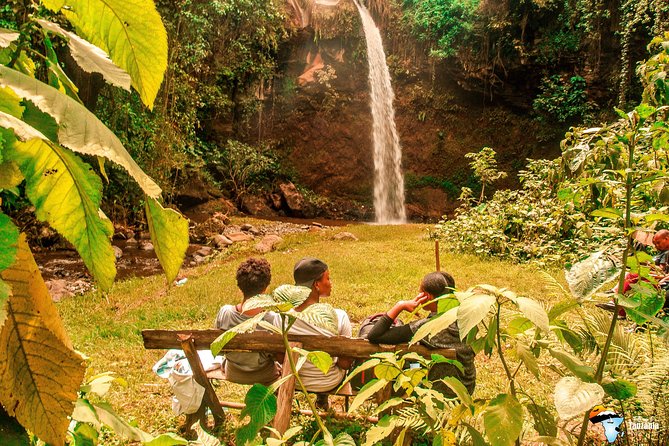 Coffee Tour Experience from Arusha - A local family experience beyond the coffee plants