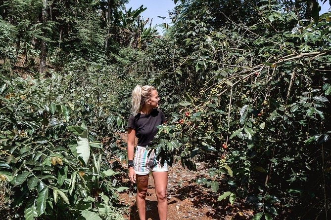 Coffee Tour Experience from Arusha - How the time and group size affect the experience