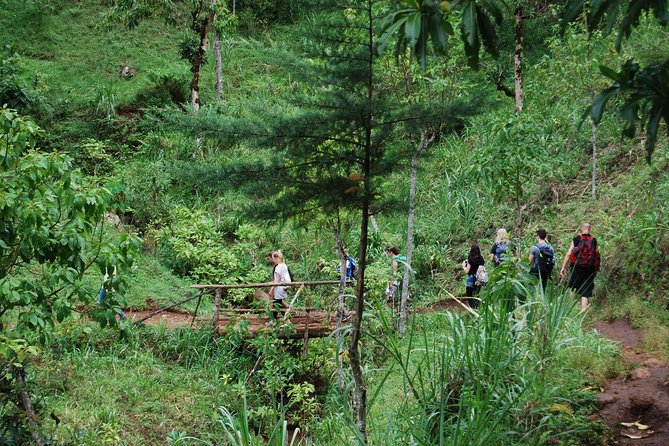 Coffee Tour Experience from Arusha - The practical details that matter
