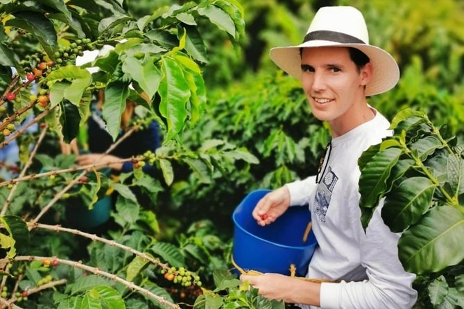 Coffee Tour in the Beautiful Jardin Town: Adventure in the Andes - What the private format changes