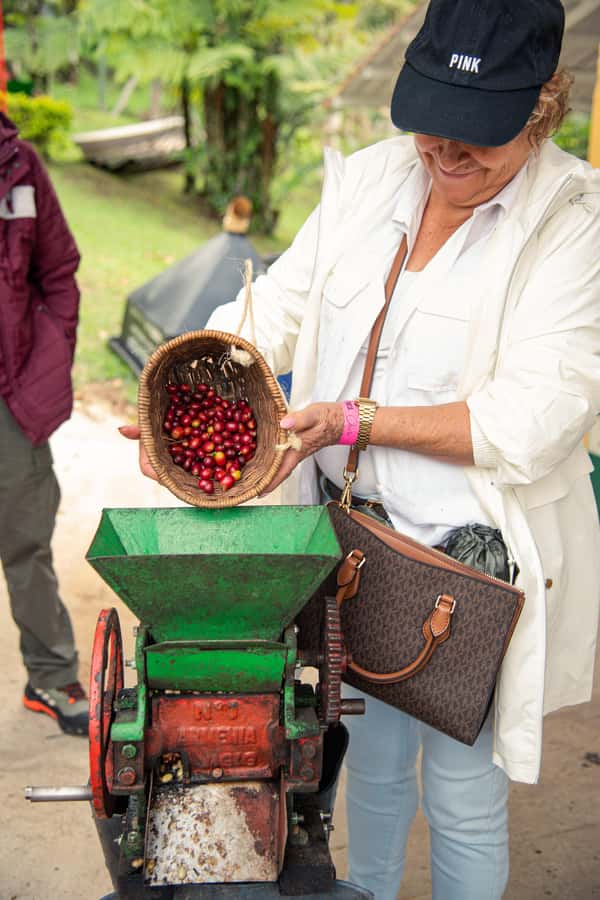 Coffee Tour Salento-Ocaso Farm- English Tour - Starting with coffee plants, gardens, and harvesting