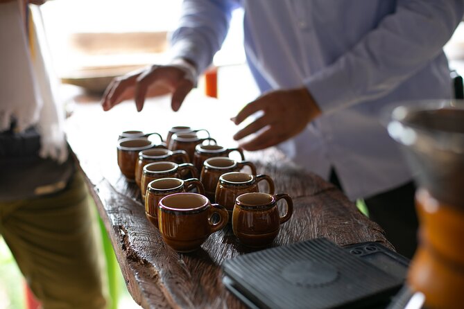 Coffee Tour with arrival on horseback and sugar cane processing - Coffee tasting beyond the usual cup