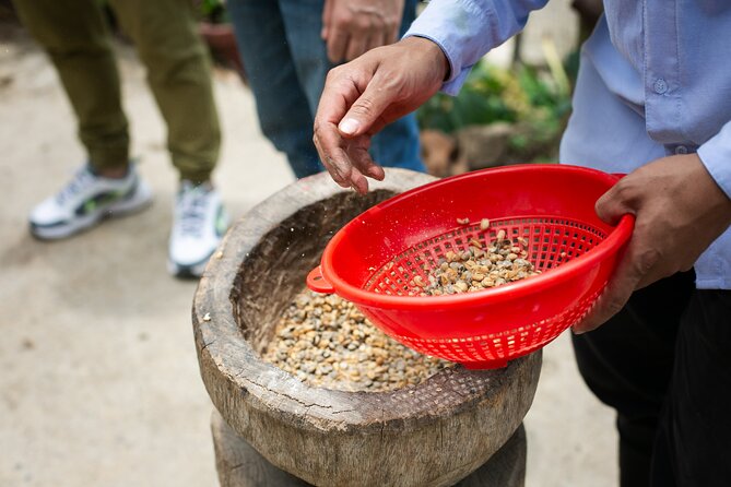 Coffee Tour with arrival on horseback and sugar cane processing - What $75.90 buys you