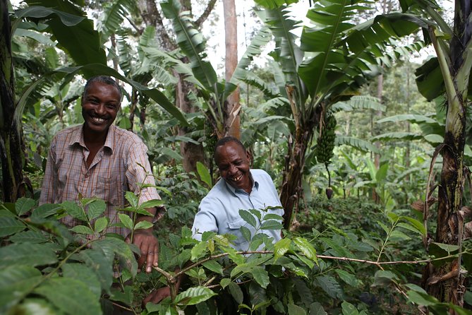 Coffee walk with stay in the village - Day two: a village walk before the coffee farm