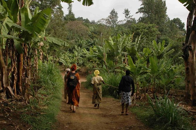 Coffee walk with stay in the village - A generous Tanzanian lunch in the garden