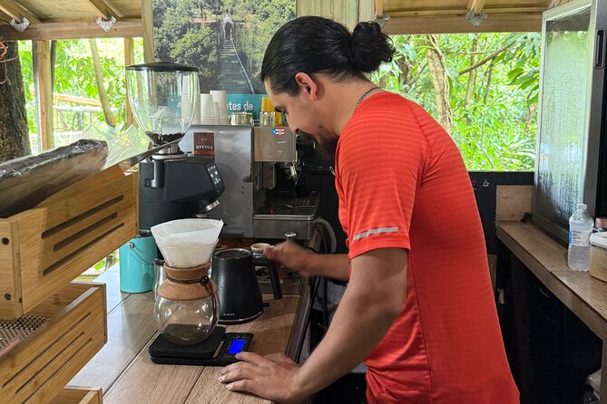 Coffee & Waterfalls Tour: from the mountains to the cup - Chorro de Doña Juana on the PR-149 mountain road