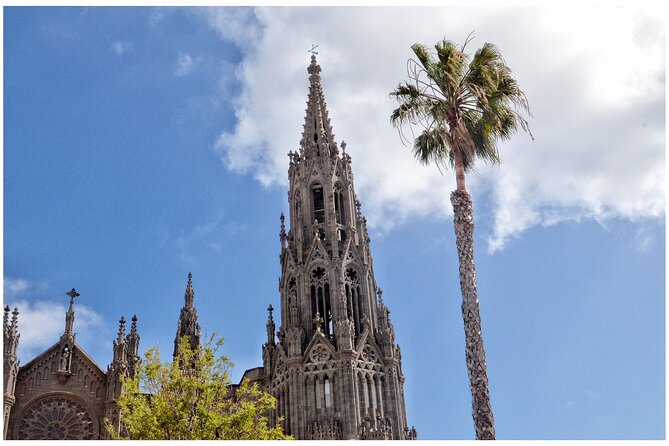 Coffee & Wine: North Route of Gran Canaria Tour - What this north Gran Canaria day is really about