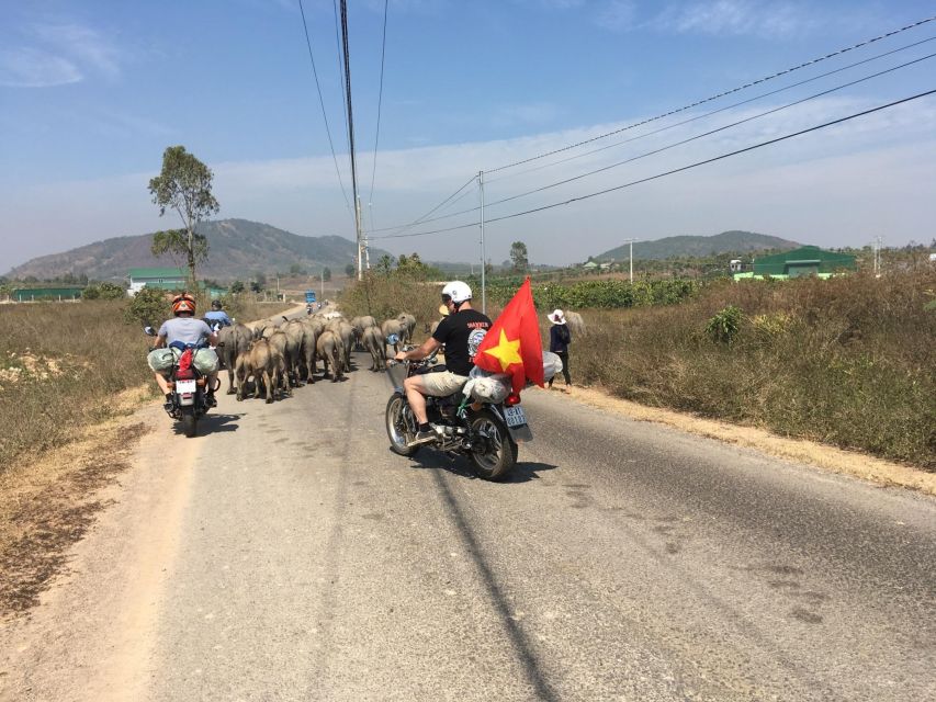 Coffee - Wine - Tea Da Lat's Agricultural Treasures Tour - The motorbike format, comfort, and safety