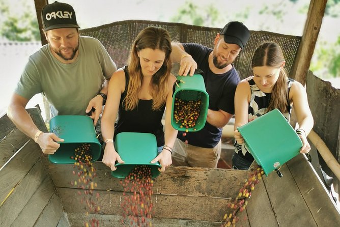 Comuna 13 & Coffee Farm Private Tour in Medellin | The Best Combo - More than murals: music, snacks, and local life