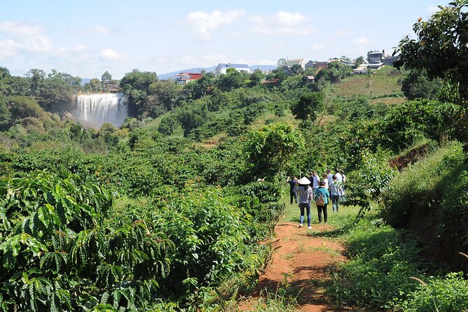Dalat's countryside|Coffee Plantations Tour beyond Elephant falls - From farm work to the coffee lab