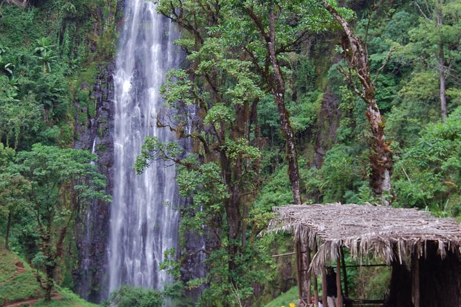 Day Trip Coffee Tour and Materuni Waterfalls - Materuni Village and Chagga culture