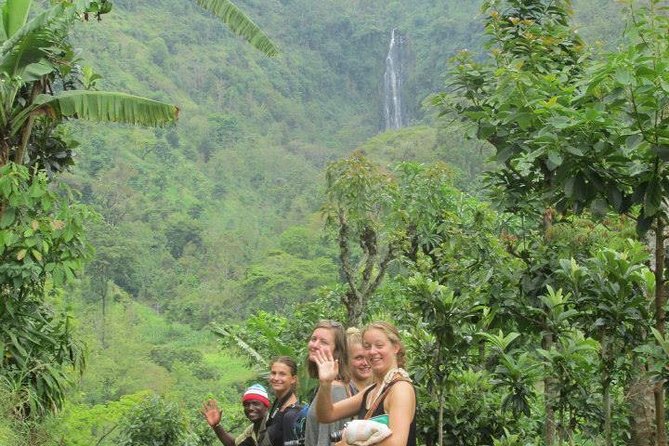 Day Trip Coffee Tour and Materuni Waterfalls - Why the private format is worth considering
