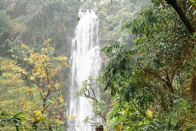 Day trip to Materuni waterfall, Coffee tour and Moshi Nightlife - Is $70 a fair price for this full-day outing?