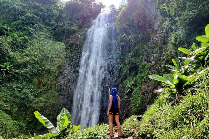 Discover Nature and Culture of Materuni Waterfall & Coffee Tour - Key points at a glance
