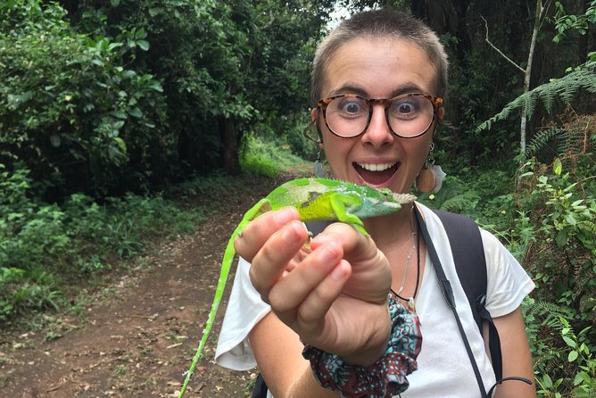 Discover Nature and Culture of Materuni Waterfall & Coffee Tour - Why this Moshi day trip works so well