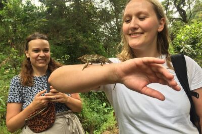 Discover Nature and Culture of Materuni Waterfall & Coffee Tour