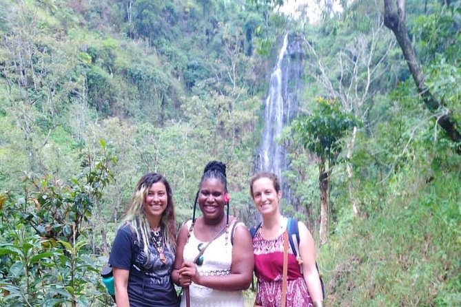 Discover Nature and Culture of Materuni Waterfall & Coffee Tour - Lunch, water, and the $50 price