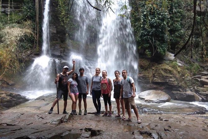 Doi Inthanon Day Trip:Twin Pagodas,Soft Hiking,Coffee Plantation - Wachirathan Falls: a quick dose of power