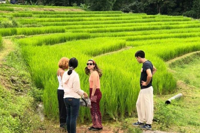 Doi Inthanon Day Trip:Twin Pagodas,Soft Hiking,Coffee Plantation - The coffee plantation question