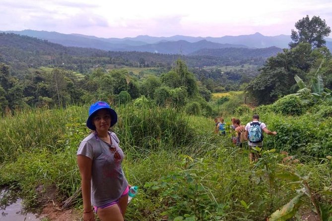 Doi Inthanon Day Trip:Twin Pagodas,Soft Hiking,Coffee Plantation - The long ride from Chiang Mai Old Town