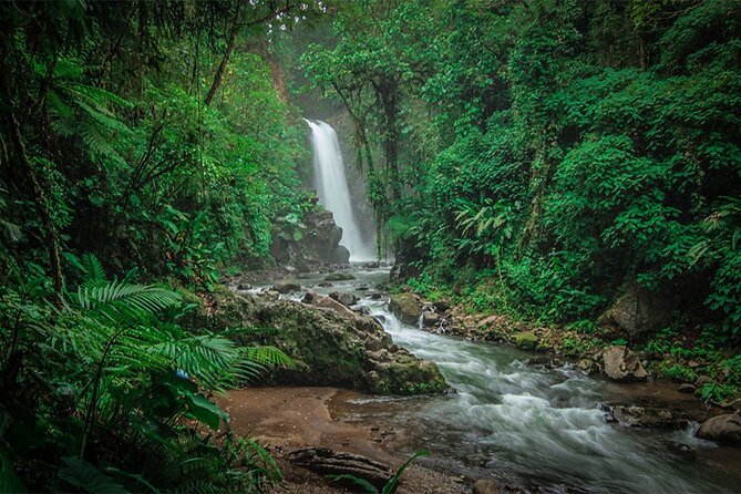 Doka Coffee Tour, Poas Volcano and La Paz Waterfall Day Trip from San Jose - What the $184 price really covers
