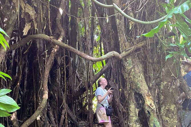 Efate Highlights: LocalVillage Walk, Coffee Tasting & Beach Chill - Coffee, chocolate, and the Tanna Coffee Factory