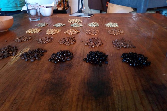 Enjoy the coffee route in Coatepec Magical Town - A good balance of guided time and independence
