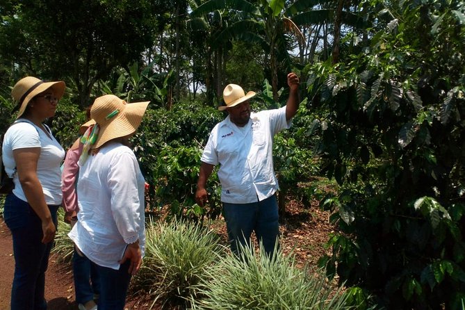 Enjoy the coffee route in Coatepec Magical Town - Who will enjoy this Coatepec coffee route?