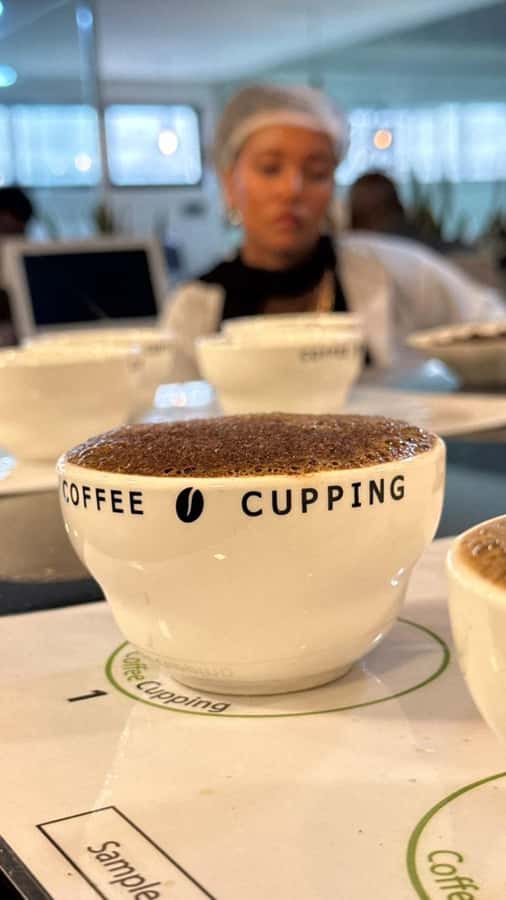 Ethiopia coffee cupping class/Ethiopian food injera making - Key points at a glance