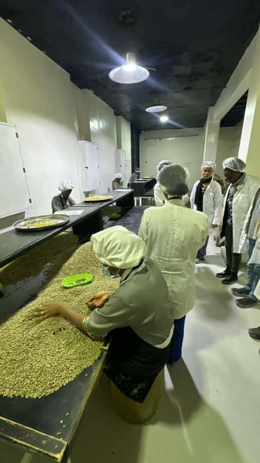 Ethiopia coffee cupping class/Ethiopian food injera making - My call: book it for culture, not just lunch