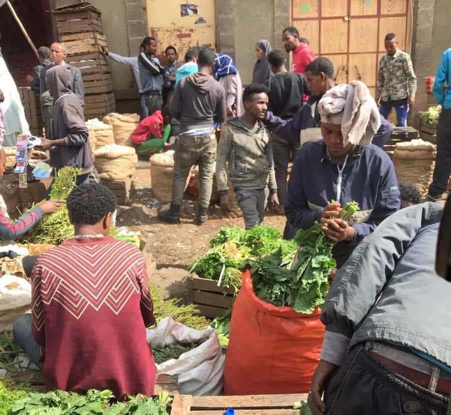 Ethiopian Culinary Tour - Market, Coffee Ceremony and More - Is $85 a fair price?