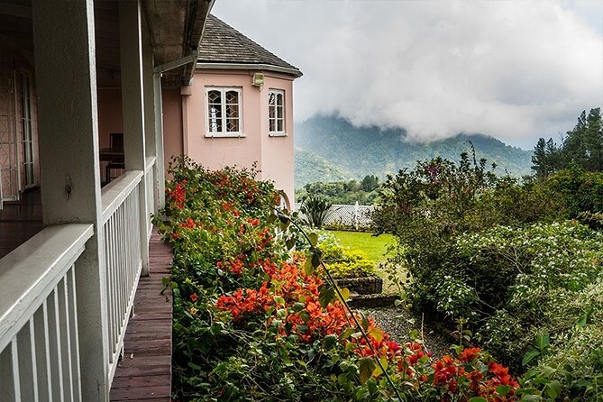 Exotic Blue Mountain Coffee Tour - What the $275 price really covers