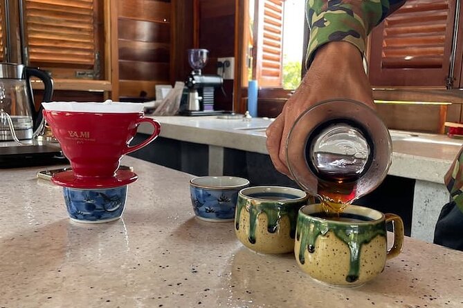 Experience Making specialty coffee in Da Lat City - A small coffee garden adds context