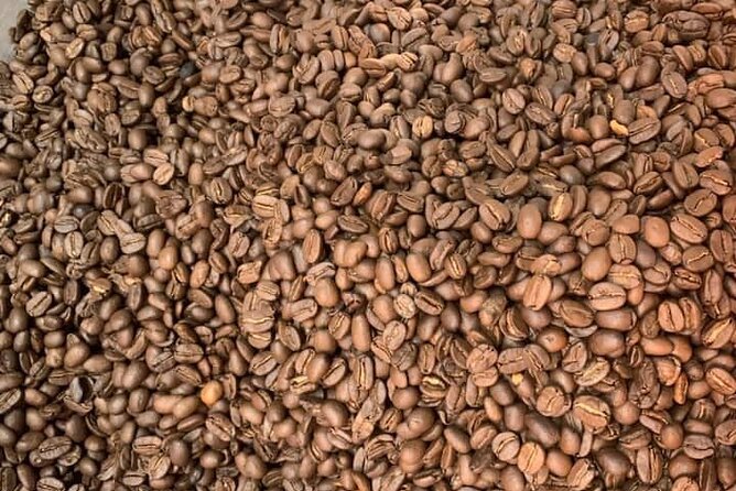 Experience Making specialty coffee in Da Lat City - The $21 price and what you receive