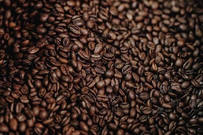 Experience Making specialty coffee in Da Lat City - Who will enjoy this Da Lat experience