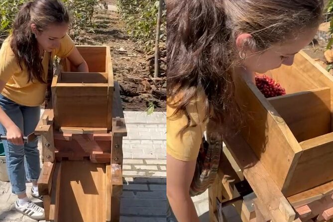 Experience: Organic Coffee, Avocados, Honey & More! - Bees, honey, and the farm’s pollinators