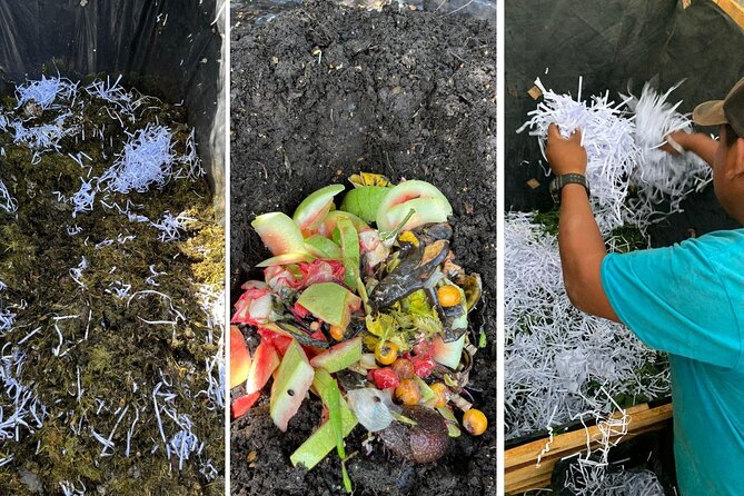 Experience: Organic Coffee, Avocados, Honey & More! - Four compost systems and practical organic farming