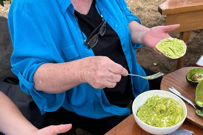 Experience: Organic Coffee, Avocados, Honey & More! - What the small group and family setting mean