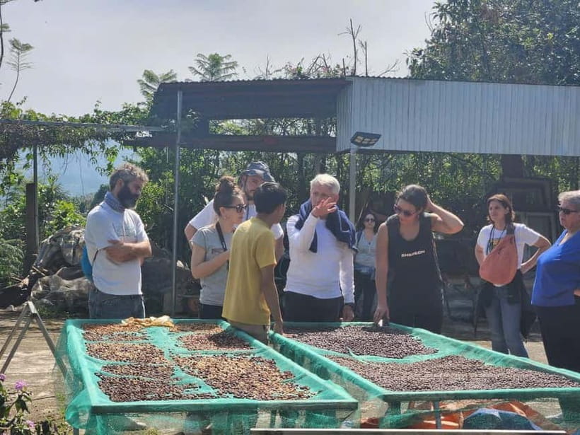 Experience specialty coffee with sustainable coffee farmers - The farm and sustainable growing story