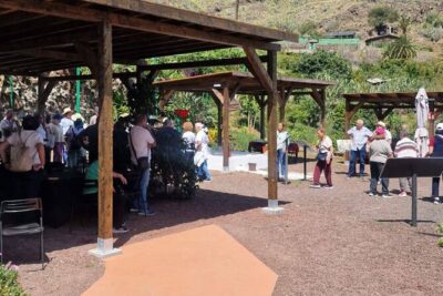 Explore Gran Canaria’s Coffee at Finca Los Castaños
