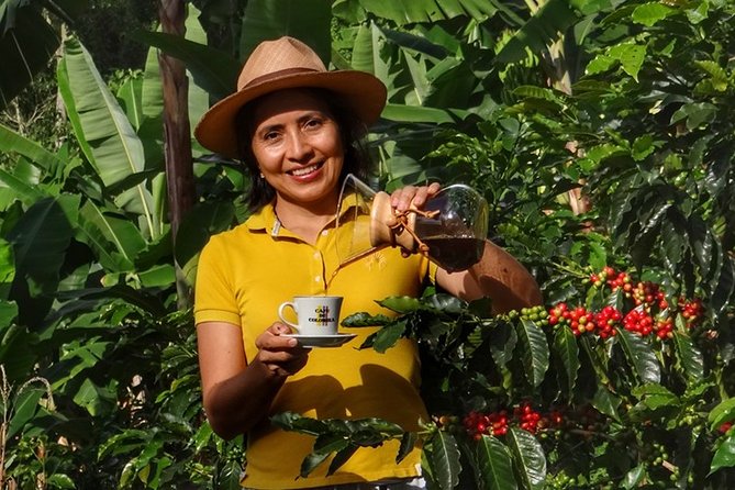 Explore the Coffee Process_From Tree to Cup & Fun by Jeep - What makes this coffee visit special