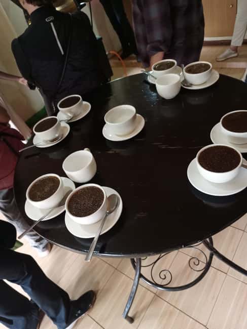 FAIRVIEW COFFEE FARM DAY TOUR - Walking through the coffee farm